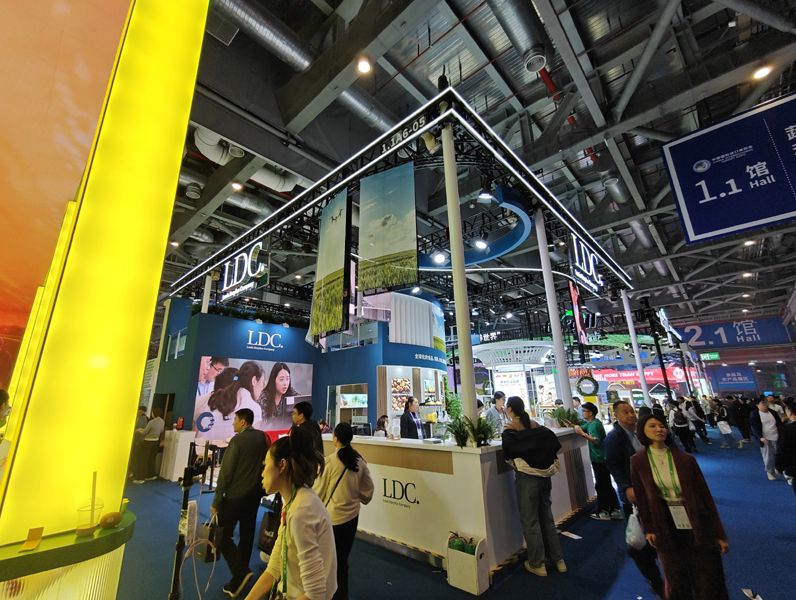 奧地利展臺設(shè)計搭建